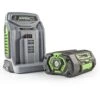 EGO CH5500E Rapid Charger -Garden Supply Store 20077 20796
