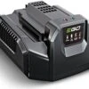 EGO CH2100E Standard Charger -Garden Supply Store 20078 20795