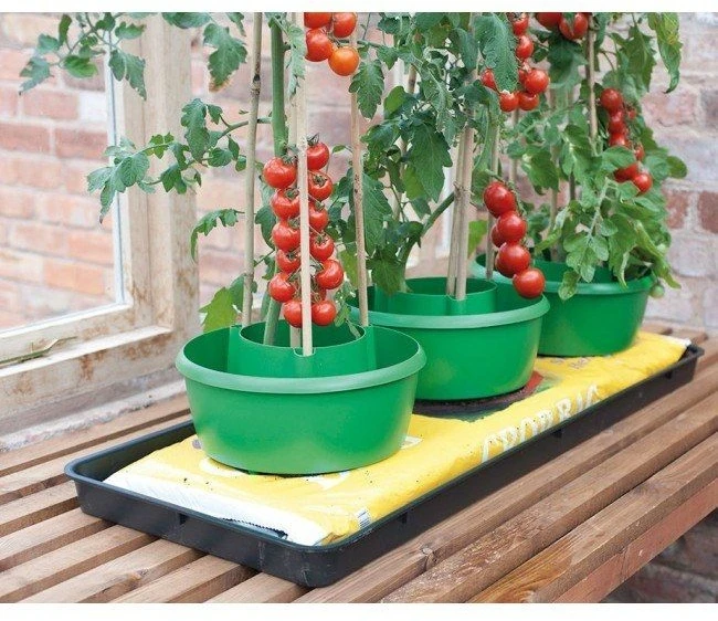 Garland Plant Halos 3 Pack Green Garland Plant Halos 3 Pack Green -Garden Supply Store 37065 14084