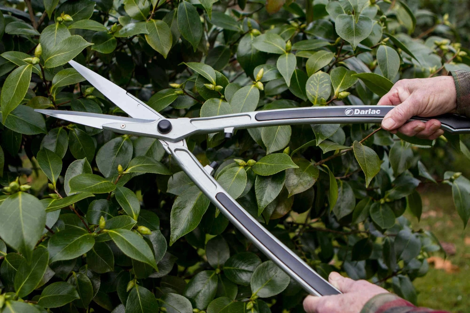 Darlac Lightweight Shear 8' Darlac Lightweight Shear 8' -Garden Supply Store 39218 12119