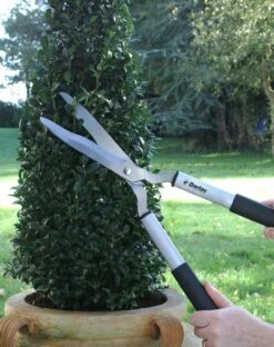 Darlac Lightweight Shear -Garden Supply Store 39220 12115