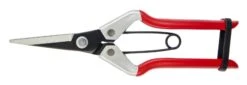 Darlac Vine Scissor
