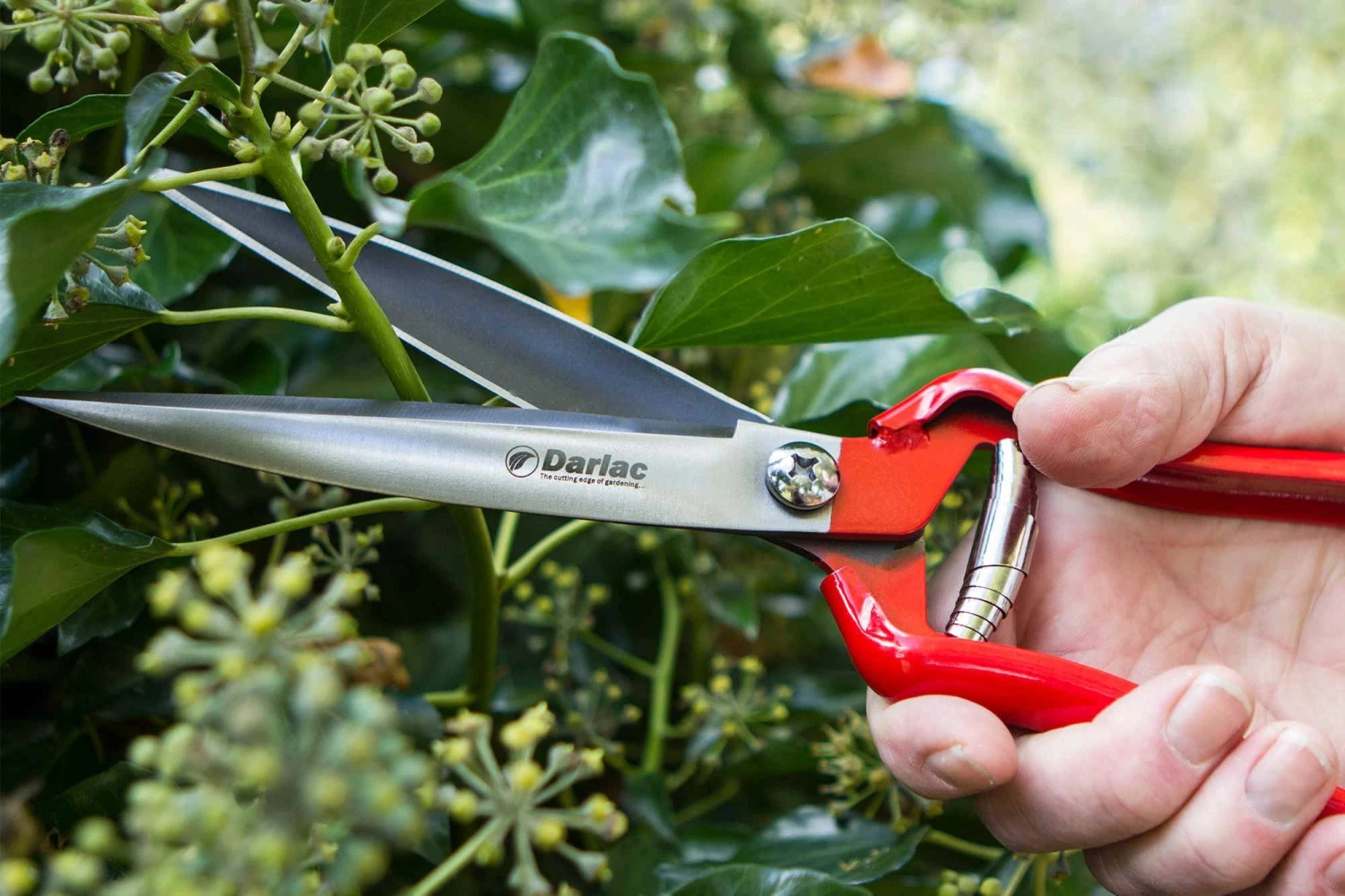 Darlac Perenial Shear Darlac Perenial Shear -Garden Supply Store 39243 12071