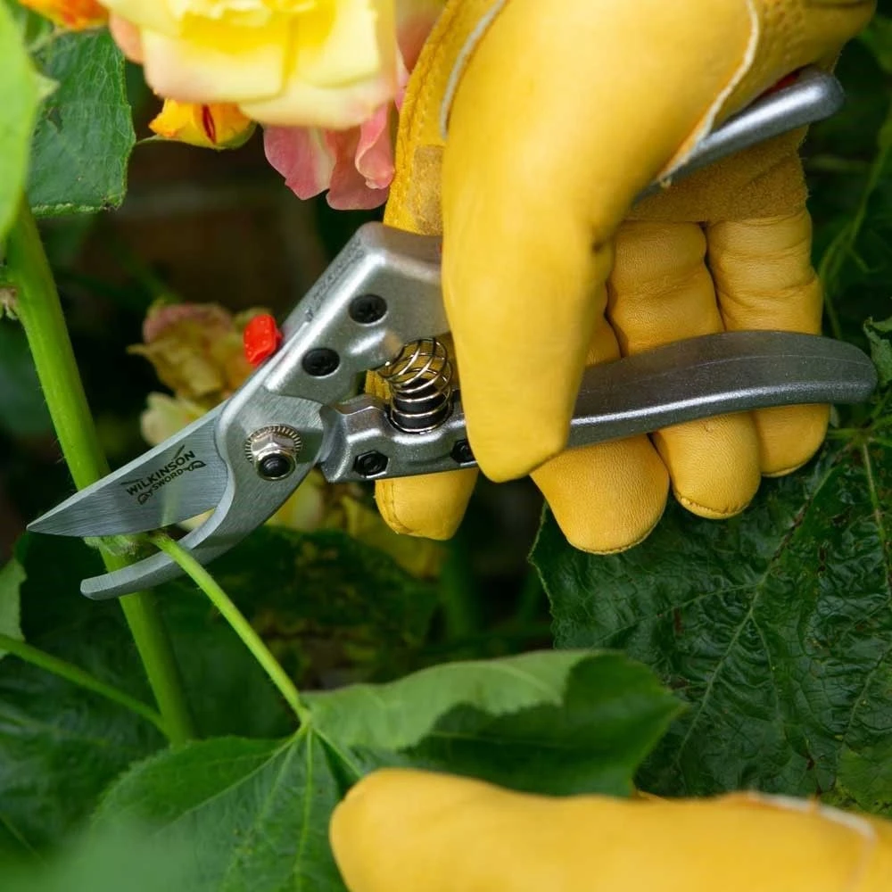 Wilkinson Sword Razorcut Comfort Medium Bypass Pruner Wilkinson Sword Razorcut Comfort Medium Bypass Pruner -Garden Supply Store 39481 11765