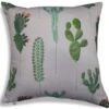 Cacti Scatter Cushion 2 Cacti Scatter Cushion -Garden Supply Store 39568 11690