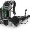 EGO LB6000E-K1103 Backpack Blower & Charger -Garden Supply Store 39641 11602