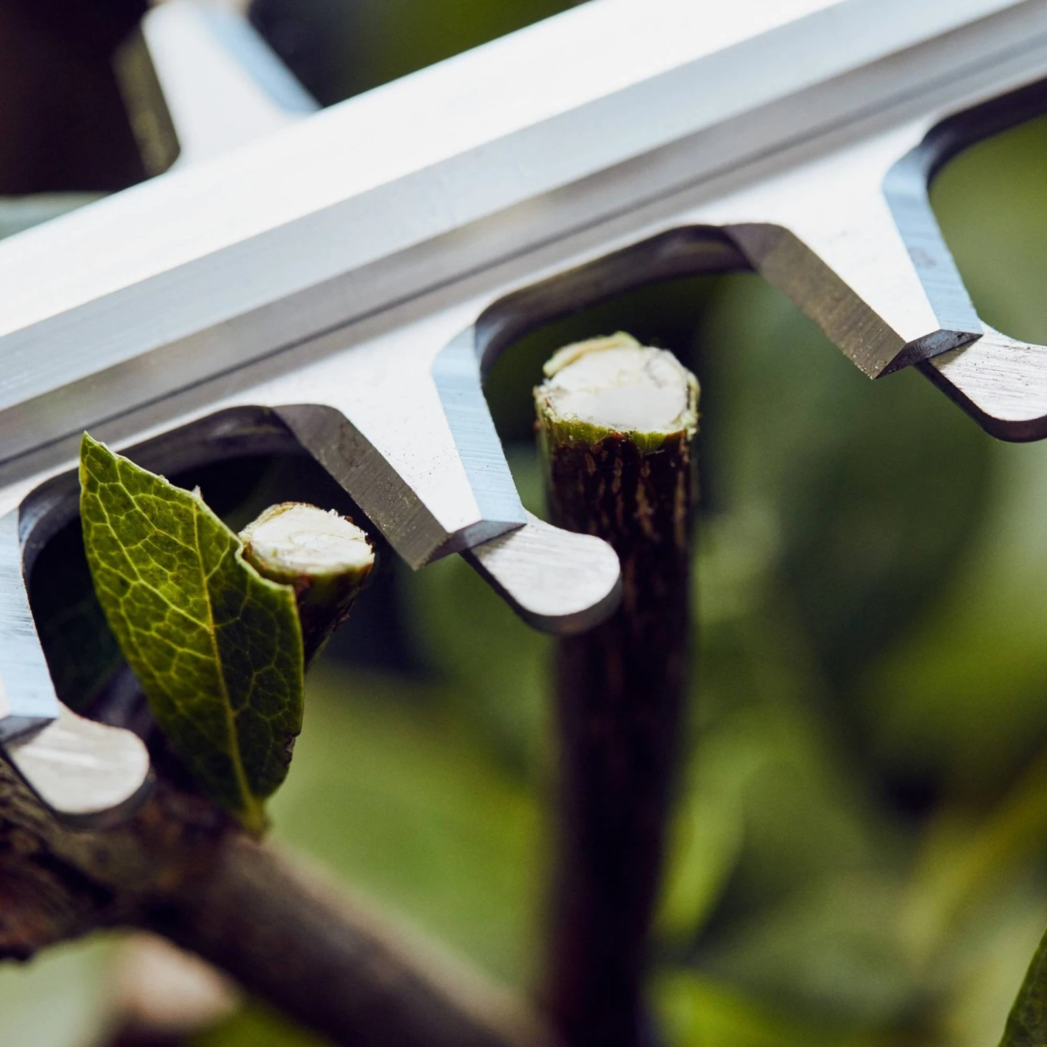 Stihl HSA 56 Boxset Cordless Hedge Trimmer Stihl HSA 56 Boxset Cordless Hedge Trimmer -Garden Supply Store 41159 10283