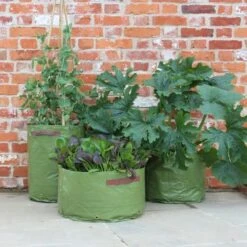 Haxnicks Patio Vegetable Planters X3 -Garden Supply Store 43477 7020