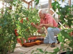 Hozelock Grow Bag Waterer -Garden Supply Store 43848 6541