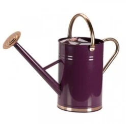 Smart Garden Watering Can - Violet 4.5L