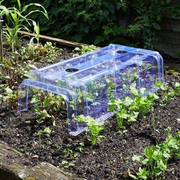 Smart Garden Clear Cloche Smart Garden Clear Cloche -Garden Supply Store 44608 5904