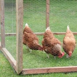 Smart Garden Hexagonal Wire Netting - 0.5 X 5m - 13mm Mesh -Garden Supply Store 44614 5895