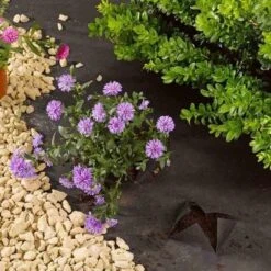 Smart Garden G100 Anti-Weed Fabric 1m X 15m -Garden Supply Store 44684 5799