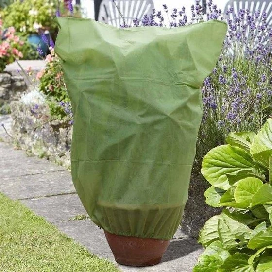 Smart Garden G30 Plant Warming Fleece Covers 2m x 1.5m 3 Pack Smart Garden G30 Plant Warming Fleece Covers 2m X 1.5m 3 Pack -Garden Supply Store 44712 5759