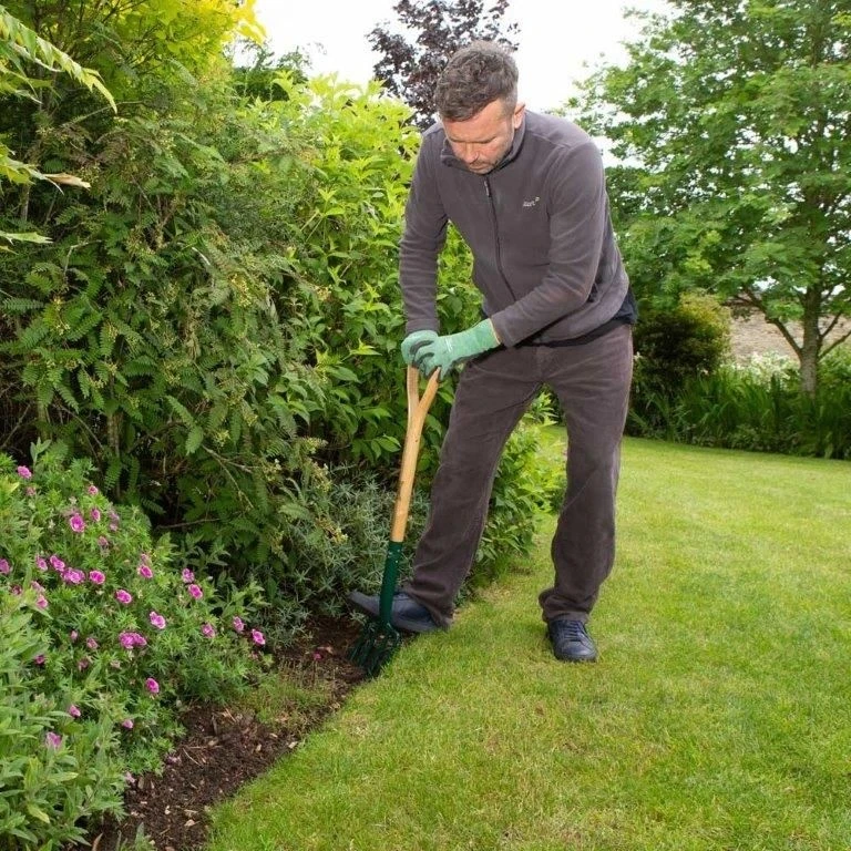 Wilkinson Sword Carbon Steel Border Fork Wilkinson Sword Carbon Steel Border Fork -Garden Supply Store 45279 5183