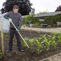 Wilkinson Sword Carbon Steel Dutch Hoe -Garden Supply Store 45281 5173