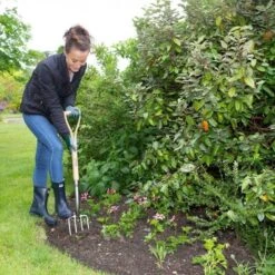 Wilkinson Sword Stainless Steel Border Fork -Garden Supply Store 45294 5123