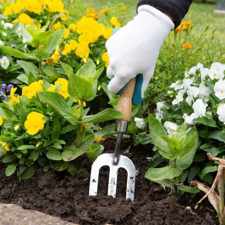 Wilkinson Sword Stainless Steel Hand Fork Wilkinson Sword Stainless Steel Hand Fork -Garden Supply Store 45296 5113