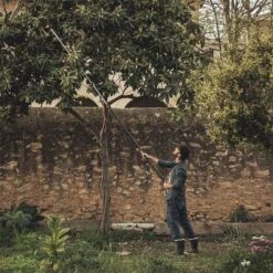 Fiskars PowerGear X Telescopic Tree Pruner UPX86 -Garden Supply Store 47154 1889