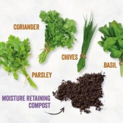 Unwins Homegrown Herb Kitchen Garden -Garden Supply Store 48800 36936