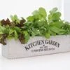 Unwins Homegrown Salad Kitchen Garden -Garden Supply Store 48801 36938