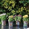 Smart Garden Pixie Pots 15cm - Assorted Designs -Garden Supply Store 50738 31860