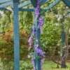 Smart Garden Wisteria Garland -Garden Supply Store 50749 31831