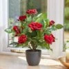 Smart Garden 40cm Regent's Roses - Ruby Red -Garden Supply Store 50757 31791