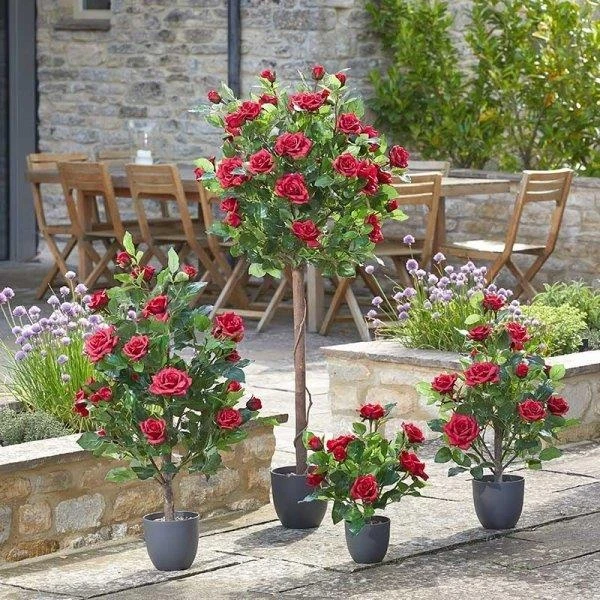 Smart Garden 40cm Regent's Roses - Ruby Red Smart Garden 40cm Regent's Roses - Ruby Red -Garden Supply Store 50757 31792