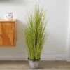 Smart Garden Zebra Grass 90cm -Garden Supply Store 50762 31803