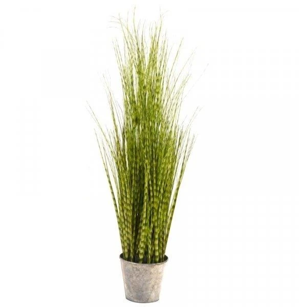 Smart Garden Zebra Grass 90cm Smart Garden Zebra Grass 90cm -Garden Supply Store 50762 31804