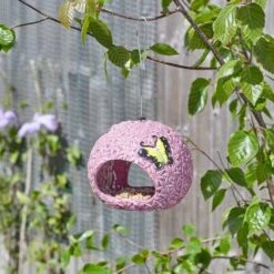 Smart Garden Allium Fly-Through Feeder