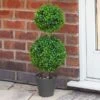 Smart Garden Duo Topiary Tree 60cm -Garden Supply Store 50805 31690
