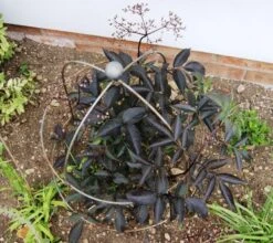 Poppy Forge Bell Cloche - Pack Of 2 -Garden Supply Store 55876 40909